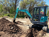 Mini-excavatrice sur chenilles SWE20F, excavatrice hydraulique compacte de 2 tonnes pour la construction, l'aménagement paysager et les travaux de terrassement