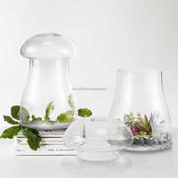 Kit de terrarium en verre pour champignons et mousse, taille personnalisée, globe végétal en verre pour mousse