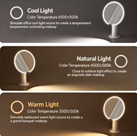 Miroir de maquillage portable rond à LED rechargeable par USB, personnalisé, double face, avec éclairage rotatif à 3 tons