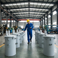 Transformateur de distribution monophasé conventionnel 50 kVA 23 kV/0,46 kV à réservoir cylindrique