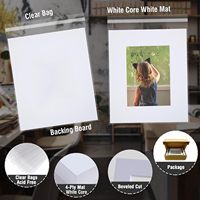 Falling Art Lot de 5 passe-partouts photo blancs 4 plis biseautés pré-découpés sans acide 16x20 po, kit de présentation avec carton de support 11x14 po