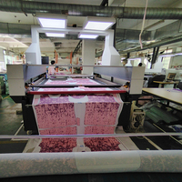 1820 Machine de découpe laser par sublimation avec caméra industrielle