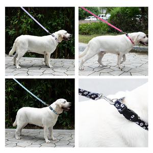 Conjunto de Correa y collar de perro ajustable de varios colores de tela personalizada de lujo por sublimación duradera - Product Image 6