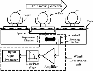 Micro tải di động sup55 nhà máy trực tiếp bán buôn 3kg-150kg lực lượng công suất cảm biến cho trái cây phân loại máy - Product Image 5