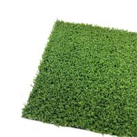 HANWEI Gulungan Rumput Sintetis Olahraga, Kasti Rumput Panjang Ramah Lingkungan, Rumput Sintetis 10X10 untuk Bola Basket