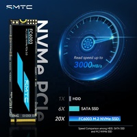 SSD NVMe M.2 Tingkat Enterprise untuk Penggunaan Komersial dengan Layanan Kustom untuk Pengadaan Perusahaan