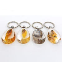 Kreativer Schlüssel bund Schlüssel ring transparenter Harz Bernstein mit Fisch Promotion Geschenk Business Geschenk Souvenir Logo kann hinzugefügt werden