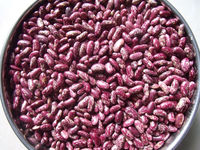 Haricots rouges violets séchés d'origine chinoise haricots à sucre mouchetés