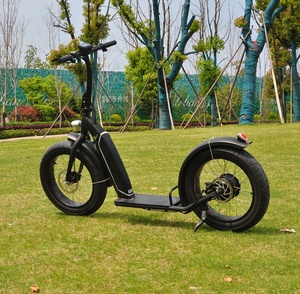 <span class=keywords><strong>Trottinette</strong></span> Électrique Grande Roue <span class=keywords><strong>Adulte</strong></span> 20 Pouces, E-Scooter Tout-Terrain Fabriquée en Chine - Product Image 5
