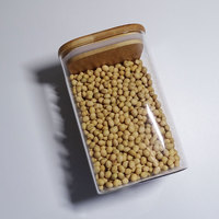 Pot à pâtes carré incassable en verre borosilicate, bocaux à collation, à café et à épices, petit récipient de rangement avec couvercle en bois et cuillère