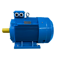 Moteur AC triphasé (H80-355) YE4 IE4 à haut rendement IP55 1,5 kW, montage sur pied, certifié CE et EAC