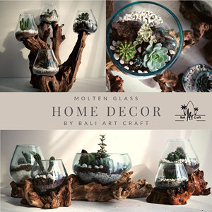 Clear Desktop Round Vases Fish <strong>Terrarium</strong> Glass Bowl Jar <strong>Terrarium</strong> DIY <strong>Kit</strong> With Two Plants Other Landscaping Decking - Product Image 2