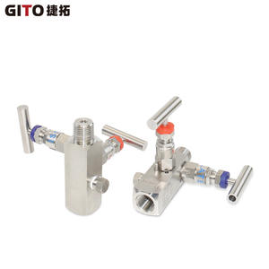 Collecteur à deux vannes en acier inoxydable SS316L, corps de vanne à deux voies pour instrument - Product Image 2