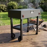 Barbecue portable pliable en acier inoxydable pour le camping en plein air, barbecue au charbon de bois