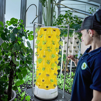 Système hydroponique de tour d'ananas de haute technologie Industries du jardin neuves et d'occasion avec lumière LED Équipement hydroponique d'irrigation