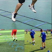 Équipement d'entraînement de Football en gros échelle d'agilité de vitesse avec cônes
