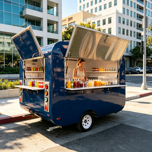 Carretto Gelati Mobile, Food Truck, Rimorchio per Alimenti con Cucina Completa, Carretto Gelati Mobile, Carritos, Foodtruck - Product Image 4