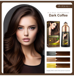 OEM personalizzare 500ml naturale a base di erbe di lunga durata senza cuoio capelluto nessuna macchia colorazione rapida Ginseng 3 in 1 colore dei capelli Shampoo - Product Image 6