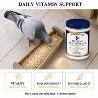 Pigeon Trace Mélange de minéraux et de vitamines 500g en poudre pour pigeons de course, d'élevage et d'habillage – Complément alimentaire quotidien – Support ODM