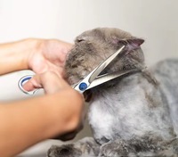 Kit de ciseaux de toilettage pour animaux de compagnie en acier inoxydable pliable, à réduction de bruit, avec lame précise et design écologique