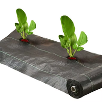 Rouleaux de tapis de mauvaises herbes en tissu de couverture de sol de jardin d'épaisseur de 5OZ 6 pieds x 100 pieds