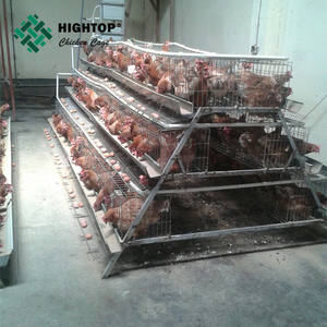 Jaulas automáticas <span class=keywords><strong>para</strong></span> huevos de gallina y pollos con batería <span class=keywords><strong>para</strong></span> aves de corral <span class=keywords><strong>para</strong></span> granjas con capacidad <span class=keywords><strong>para</strong></span> 5000 aves en Ghana - Product Image 3