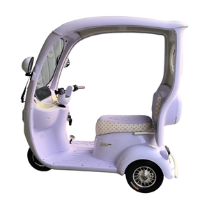 Tricycle à capote <span class=keywords><strong>2</strong></span> places 60V résistant aux intempéries (homologué DOT) : Véhicule fiable pour les trajets entre centres de <span class=keywords><strong>spa</strong></span> et stations balnéaires et les courses à domicile en zone montagneuse - Product Image 3