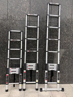 Échelle télescopique en aluminium portable à 9 marches, idéale pour la décoration intérieure et les travaux de jardinage extérieur