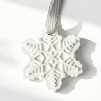 Usine flocon de neige parfumé en céramique pierre suspendu garde-robe désodorisant porcelaine parfum diffuseur d'huile essentielle