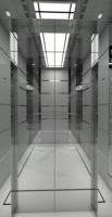 Ascensore Passeggeri Fareo FLA-K12A Moderno in Acciaio Inox Senza Ingranaggi, Sicuro e Durevole, 110V/220V/240V per Uso in Appartamenti