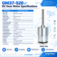 Moteur à engrenages CC à couple élevé Tengli GM37-520 12V 24V réversible avec axe à vis sans fin T6 et encodeur pour tracker solaire