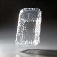 Conteneur alimentaire en PET à clapet avec couvercle en dôme jetable et boîtes en plastique gaufré