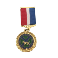 Médailles en métal émaillées gravées sur mesure avec placage or, design 3D, ruban, barre, badge de poitrine, souvenir, badges d'honneur