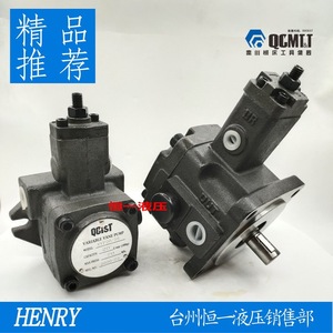 QCIST ปั๊มไฮดรอลิก VVP15B 20 VVP20B 35 VVP30B 55 VVP40B 70 ปั๊มน้ำมัน CNC สำหรับเครื่องมือกล - Product Image 5