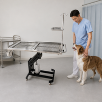 Table d'opération vétérinaire hydraulique en acier inoxydable 304, table chirurgicale pour petits animaux avec filtre de drainage des déchets, poteau IV et plateau