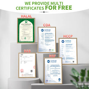 OEM ODM Private Label Super collagene peptidi integratore a base di erbe all'ingrosso certificato di fornitura all'ingrosso NSF HALAL GMP COA - Product Image 5