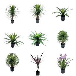 Pohon buatan lili air hijau imitasi tanaman sukulen Agave hijau dalam pot untuk dekorasi rumah luar ruangan - Product Image 5