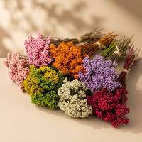 Fleurs de riz naturelles préservées, bouquet de fleurs séchées, fleurs éternelles réelles, matériaux pour artisanat en résine DIY, bouquet de mariage, décoration intérieure