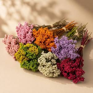 Fleurs <span class=keywords><strong>de</strong></span> riz naturelles préservées, <span class=keywords><strong>bouquet</strong></span> <span class=keywords><strong>de</strong></span> fleurs séchées, fleurs éternelles réelles, matériaux pour artisanat <span class=keywords><strong>en</strong></span> résine DIY, <span class=keywords><strong>bouquet</strong></span> <span class=keywords><strong>de</strong></span> mariage, décoration intérieure - Product Image 1