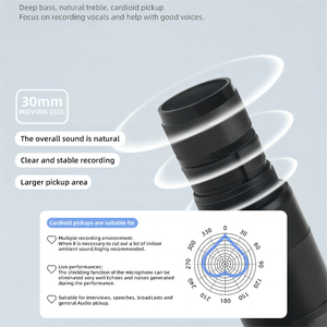 Nouveau microphone sans fil UHF professionnel, microphone portable pour fête, karaoké, église, spectacle, réunion, chant - Product Image 2