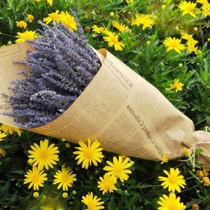 Fiori Secchi di Lavanda Viola per Decorazioni Matrimoniali e Domestiche, Fiori Preservati per Decorazioni Casa e Feste - Product Image 4