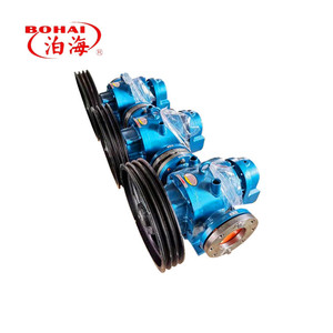 Bomba de la Serie LC con Rotor de Acero Inoxidable Personalizable, 0.6MPa, para Baja y Alta Viscosidad, Biocombustible - Product Image 2