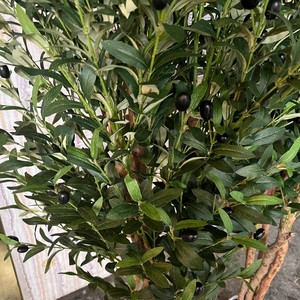 Albero di Ulivo Artificiale Verde da 150cm con Tronco in Legno Naturale per Decorazione Casa, Ufficio e Hotel - Product Image 4