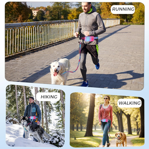 <b>Pet</b> Collar Leashes Bestseller Design OEM Available Secure Fit for Daily Walks and <b>Pet</b> Exercise - Product Image 4
