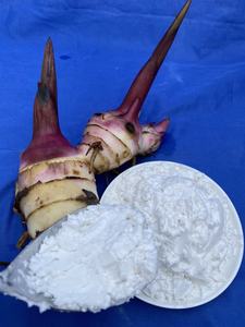 Almidón de Arrowroot de la Mejor Calidad, Harina Blanca en Polvo, Tipo Nativo de Vietnam - Product Image 3