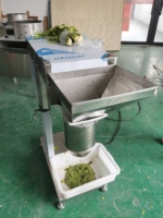 Broyeur Commercial Industriel Haute Vitesse en Acier Inoxydable 304 pour Fruits et Légumes, Hachoir Alimentaire pour Ail, Piment et Fruits
