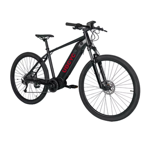 Precio Promocional OEM <span class=keywords><strong>Bicicleta</strong></span> Eléctrica de Montaña (MTB) de 7 Velocidades con Freno de Disco para Carretera - Product Image 1