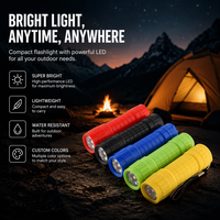 Nouvelle lampe torche tactique miniature extérieure rechargeable par USB, zoom télescopique, en plastique, à pulvérisation de peinture en caoutchouc, LED, portable et puissante