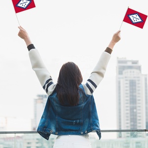 Drapeau à main personnalisé Arkansas The Natural State 14x21cm, petite bannière ondulante pour les matchs de football et de soccer - Product Image 4