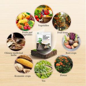 צנוטה חזק אבקת שורש מהירה פיצוץ שורש אורגני דשן - Product Image 4